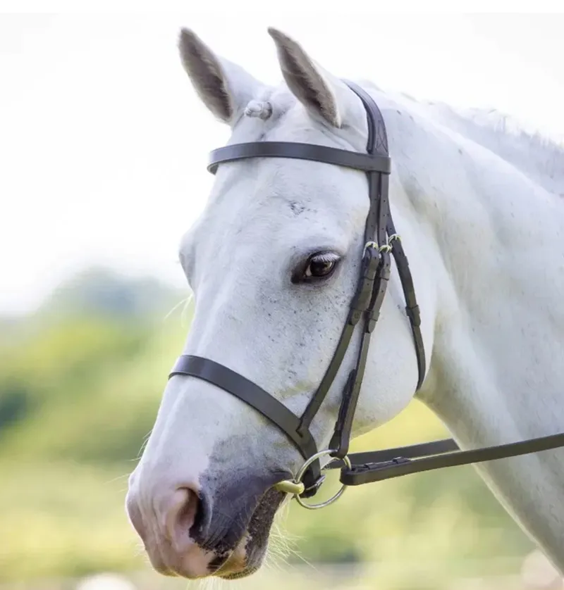 Velociti Hunter Cavesson Bridle Havana
